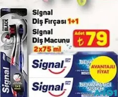 SİGNAL DİŞ FIRÇASI 1+1/SİGNAL DİŞ MACUNU 2X75 ML